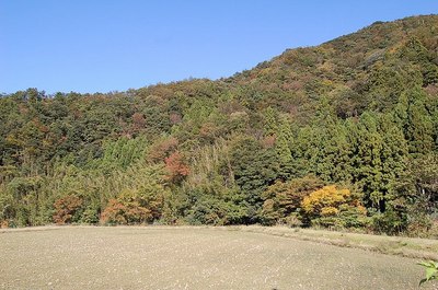 11.4 007.jpg