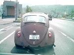 20 007.jpg